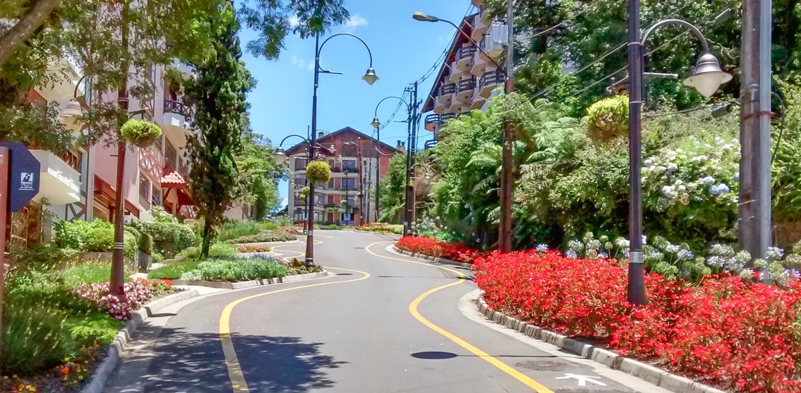 Dicas viagem gramado