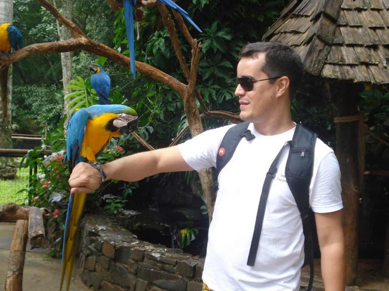 Parque das Aves Foz do Iguaçu