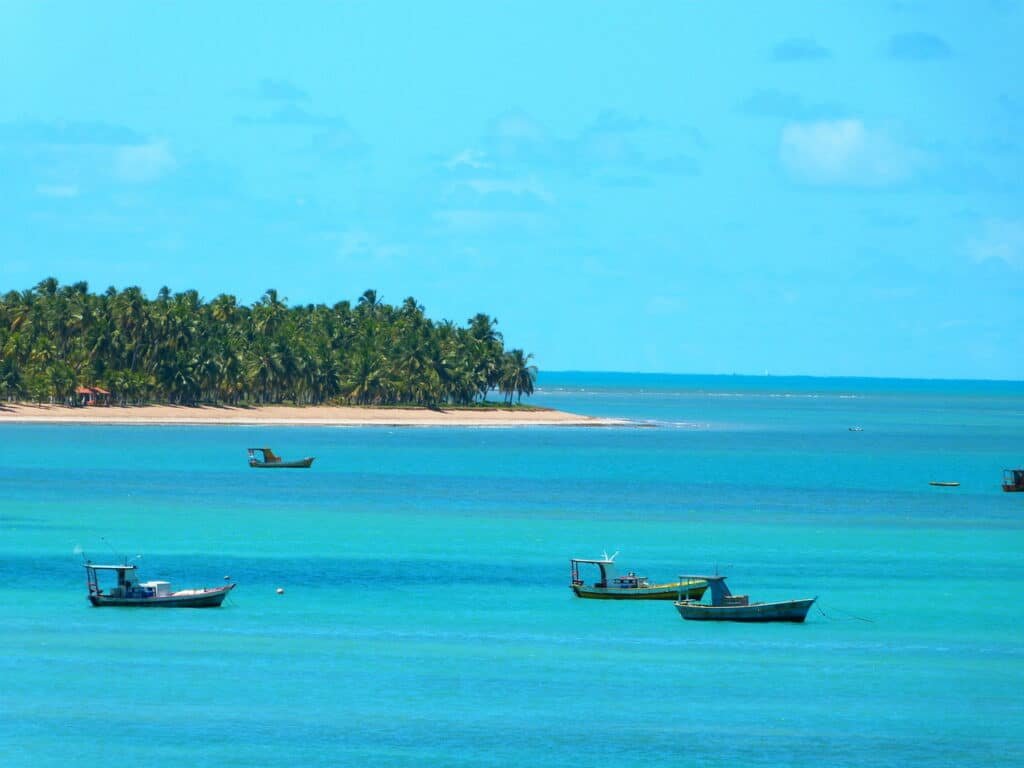 Maragogi 173 Easy Resize.com 1024x768