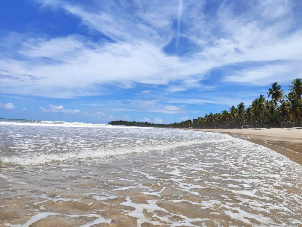 IMG 20201201 112800 Easy Resize.com 1024x768