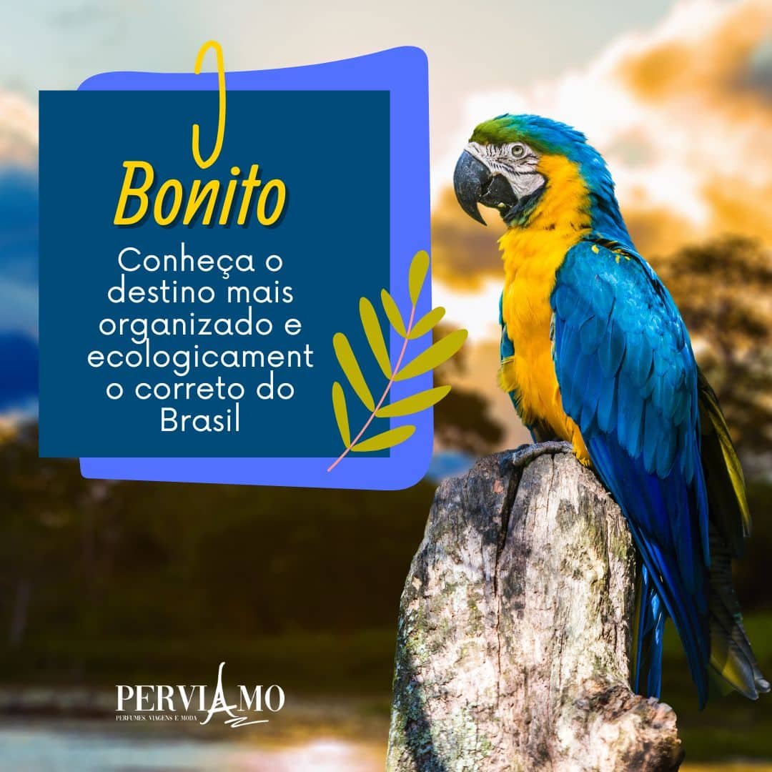 Bonito