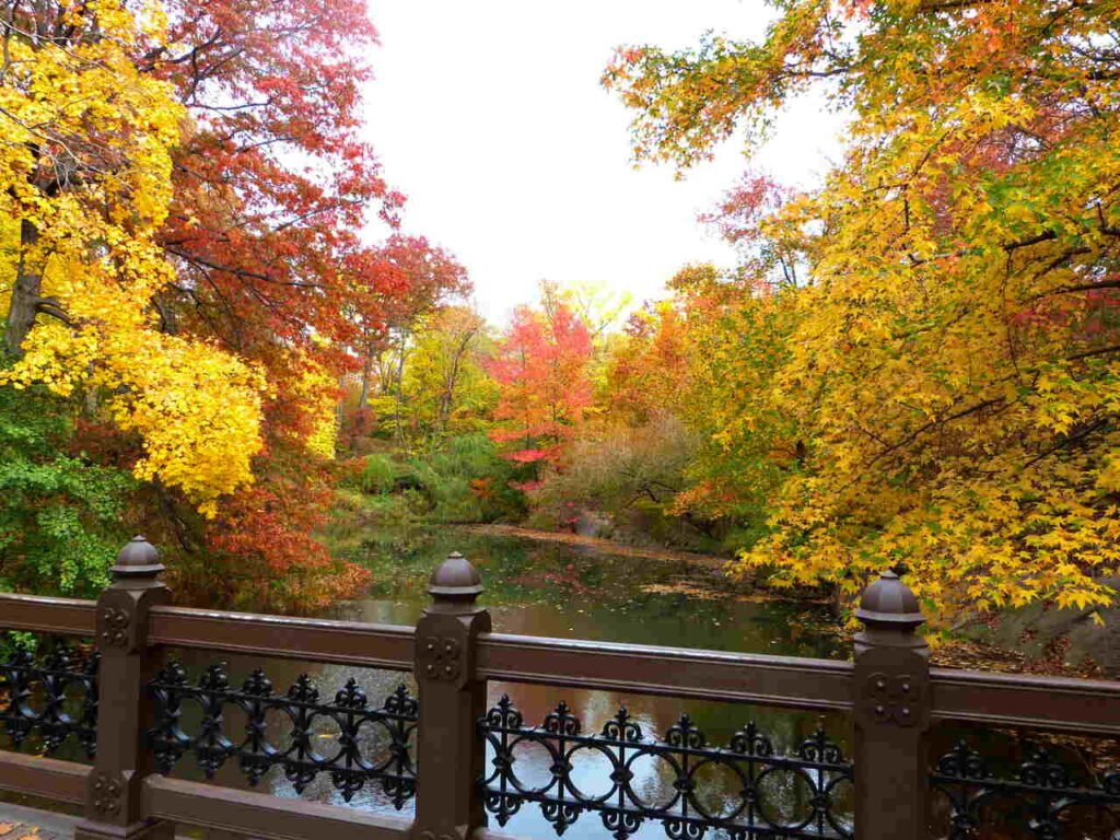 Nova York 2013 1 1024x768