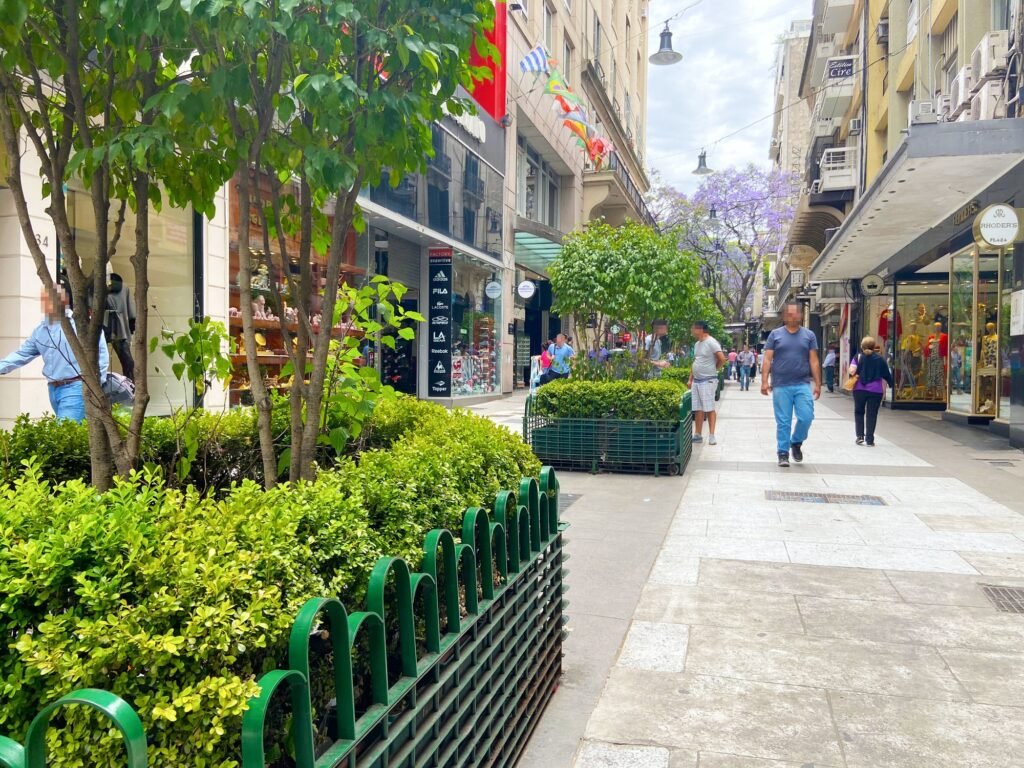 Dinheiro em Buenos Aires: Tudo Que Você Precisa Saber para Sua Primeira Viagem à Argentina Calle Florida Street Buenos Aires 1024x768