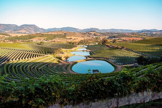 Vista Dos Terracos De